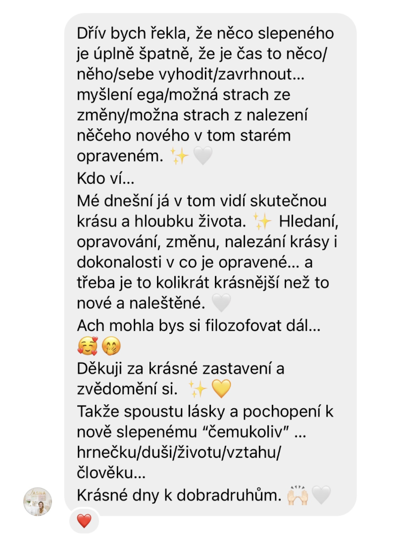 Snímek obrazovky 2024-09-02 v 21.00.01_1